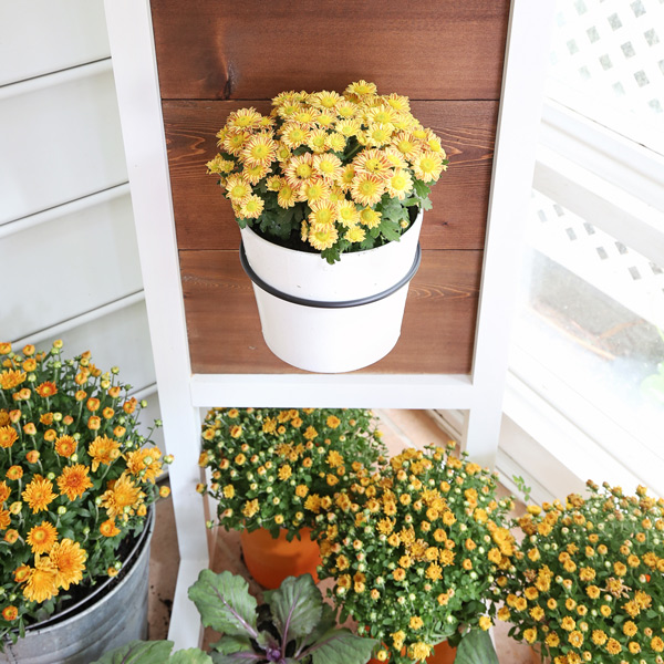 close up of diy wood plant stand