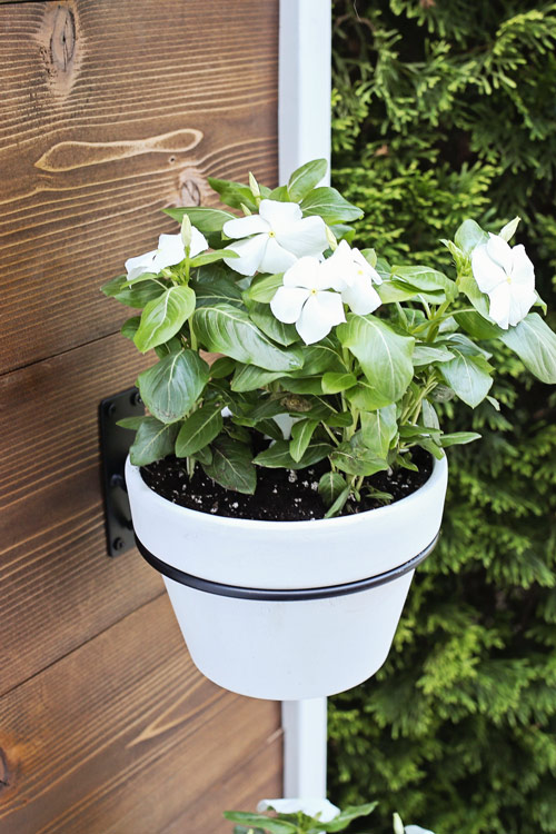 flowers in a planter wall hook on Vertical Plant stand 