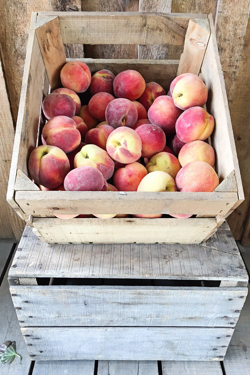 Peach Summer Tablescape