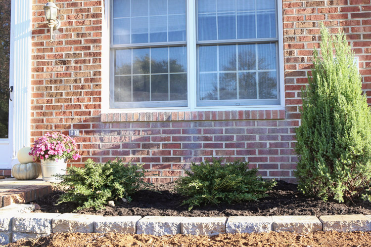 Simple Front Yard Landscaping Makeover