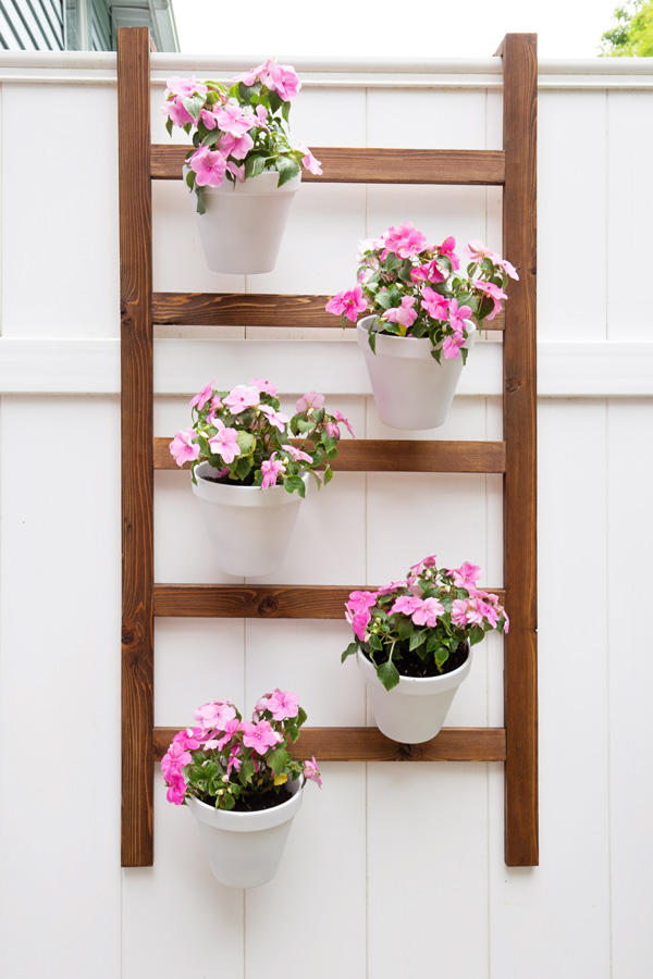 DIY Wall Planter Ladder