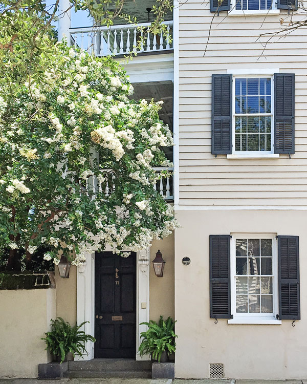 Historic Charleston house with crepe myrtle