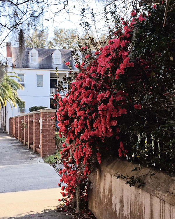 Historic Charleston