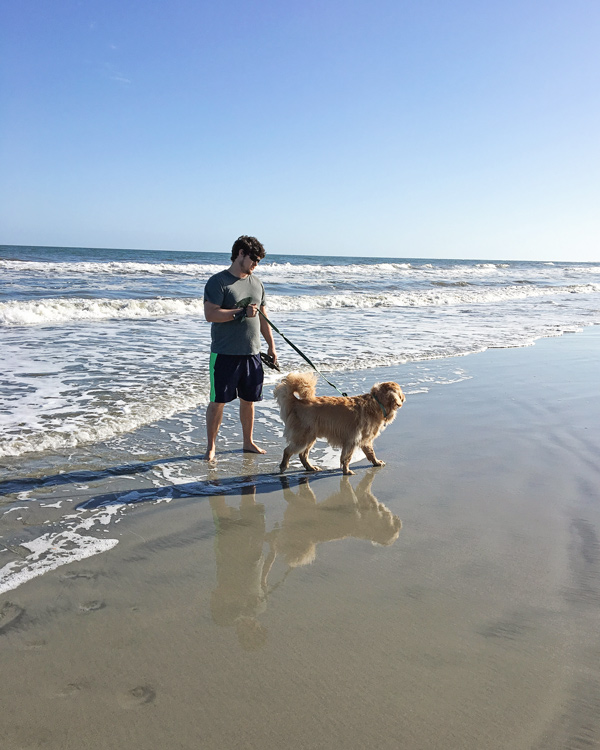 Charleston beaches