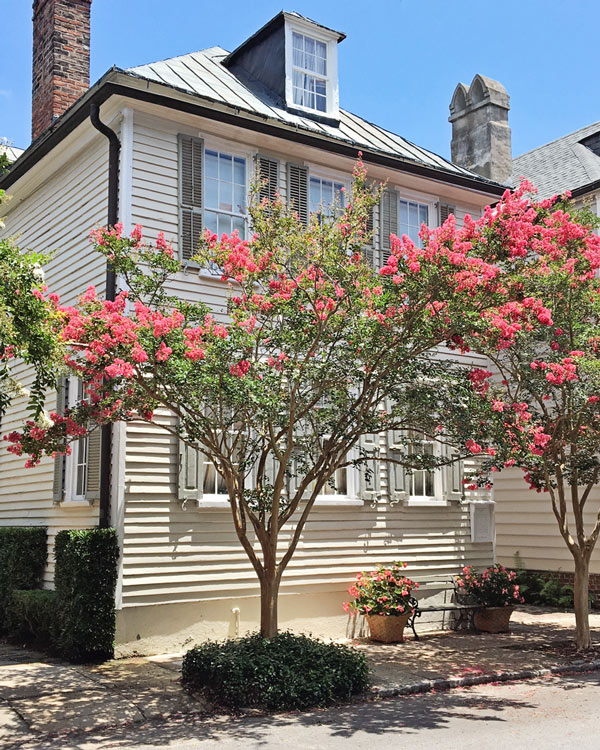 Historic Charleston house with crepe myrtle