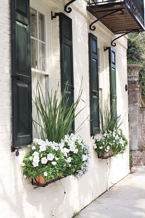 Charleston window flower bloxes