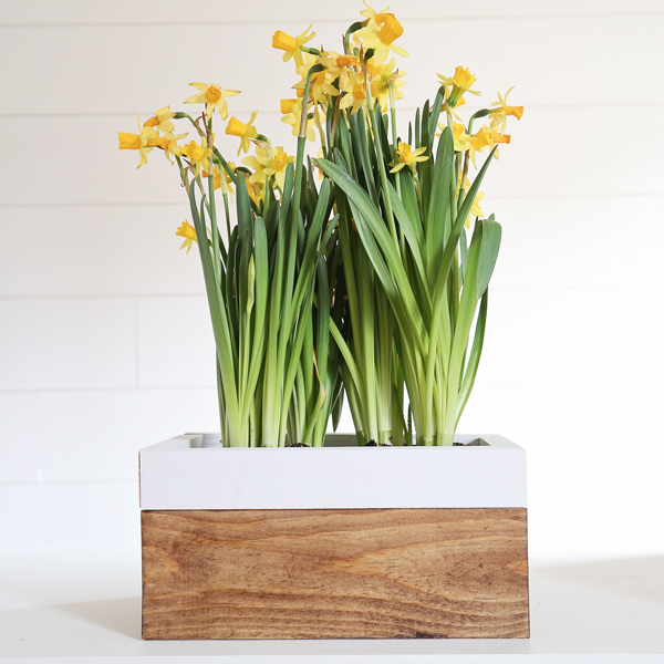 DIY spring planter box