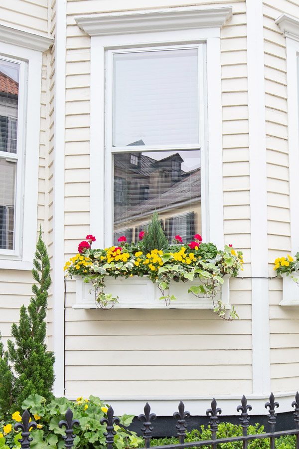 pink and yellow flowers in a window box