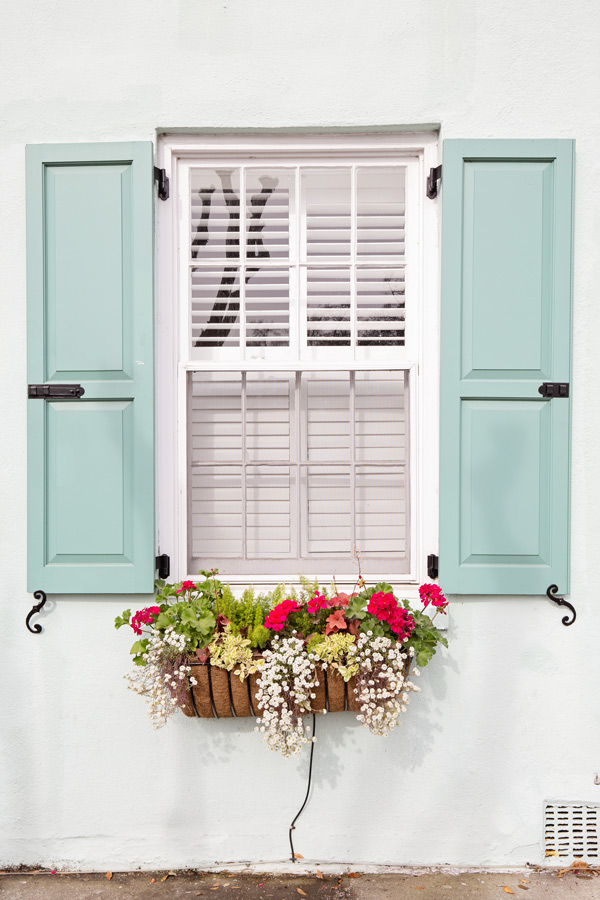 Window Box Ideas from Charleston