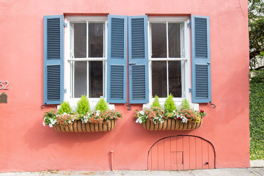 Spring Window Box ideas in Charleston