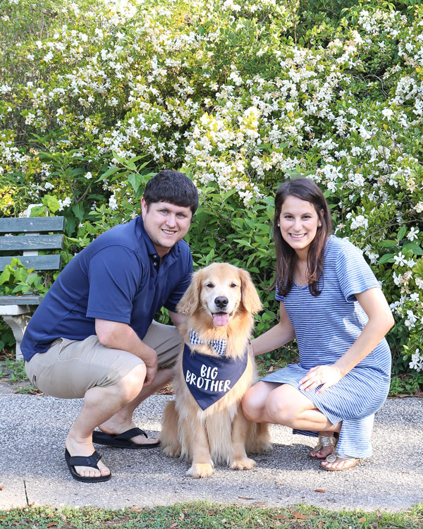 Pregnancy announcement with dog wearing big brother bandana