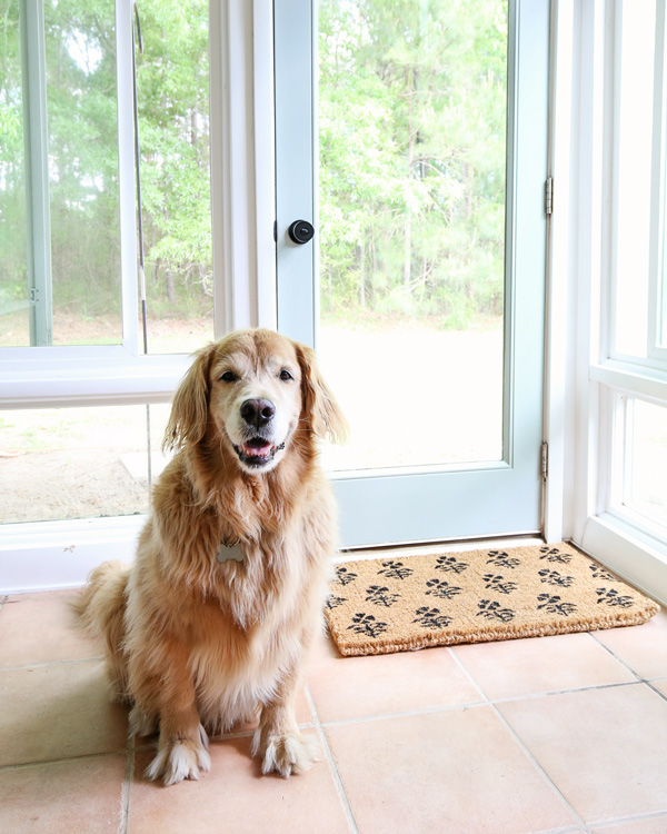 dog in front of patio door makeover