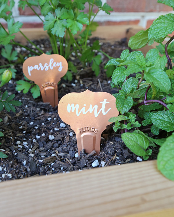 mint and parsley diy garden labels 