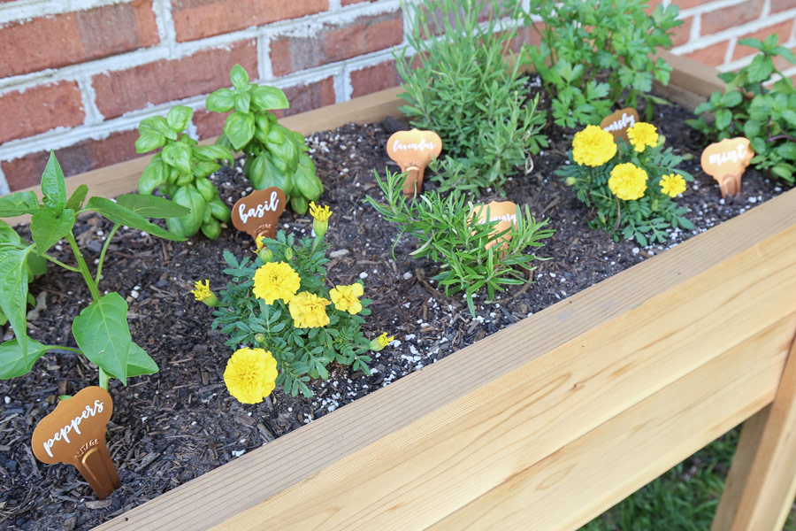 diy plant markers in raised gardern bed