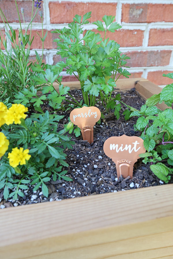 DIY plant labels