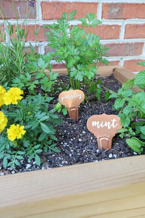 Diy Garden Markers Angela Marie Made