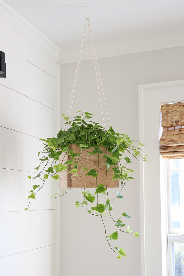 DIY hanging planter with wood and rope