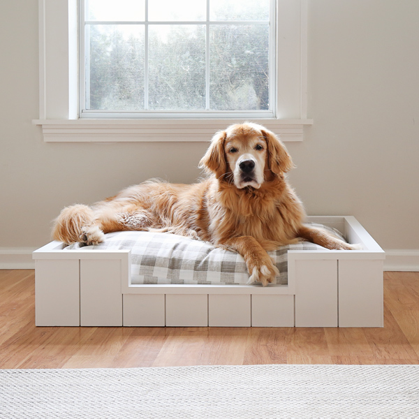 DIY dog bed with shiplap and golden retriever