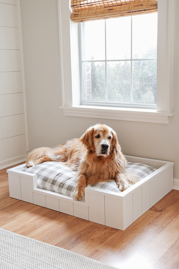 diy dog bed frame