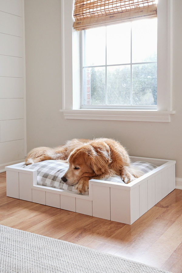 how to make a dog bed