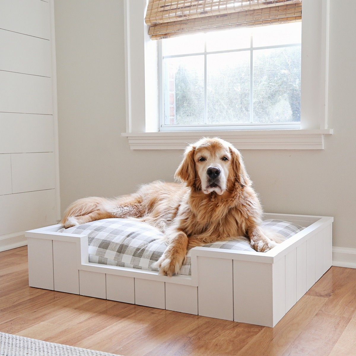 large DIY dog bed with shiplap