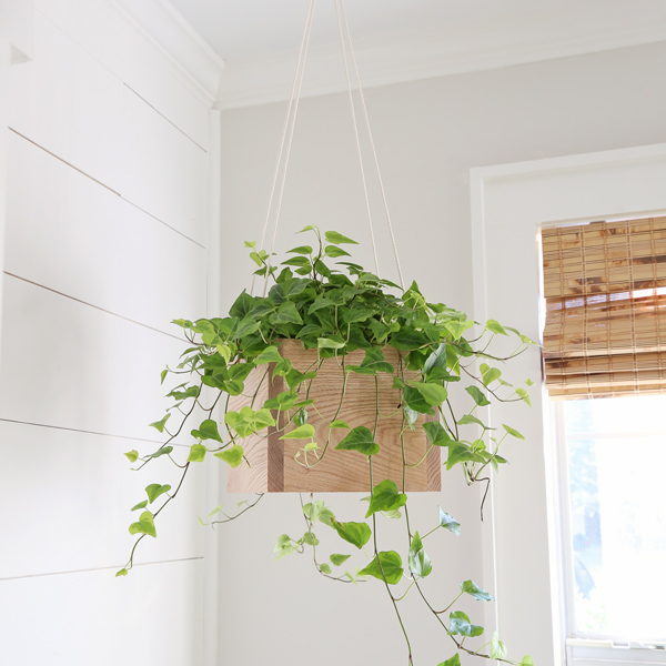 diy rope plant hanger