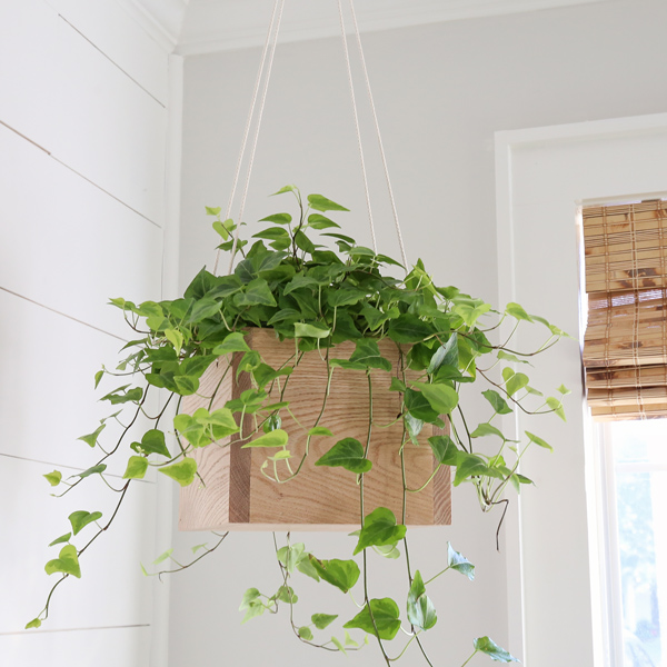 diy plant hanger