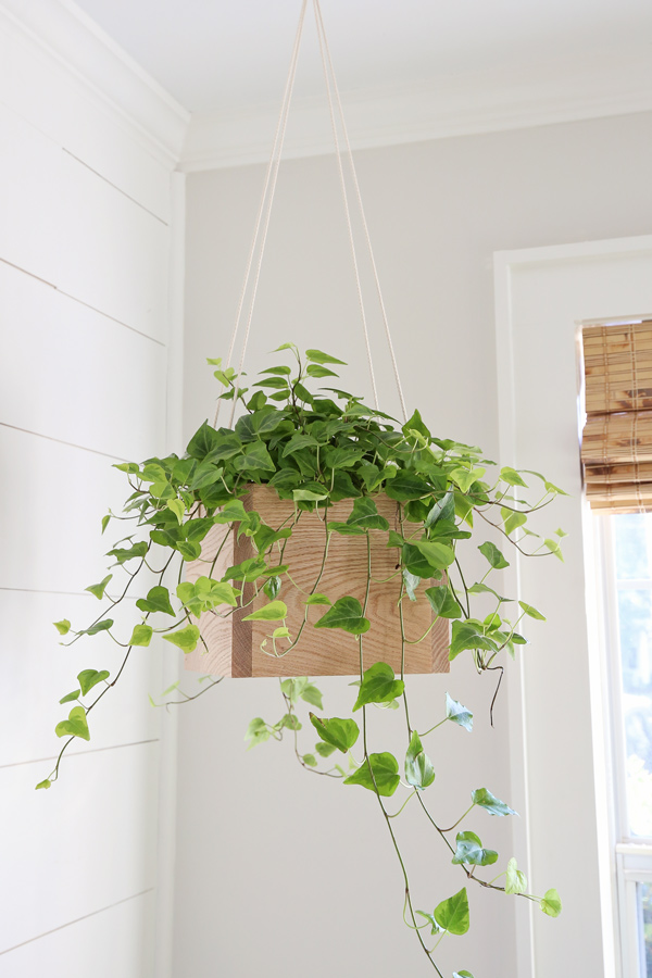 DIY hanging planter with wood and rope by window