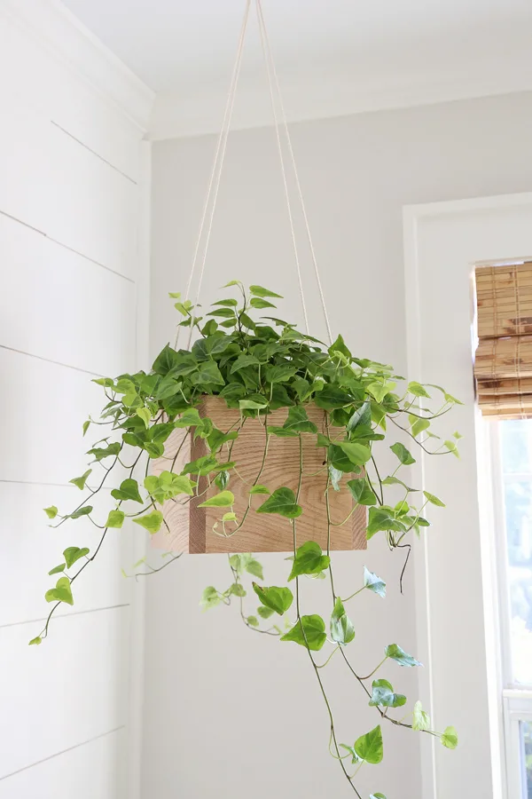 DIY Hanging Planter by Angela Marie Made