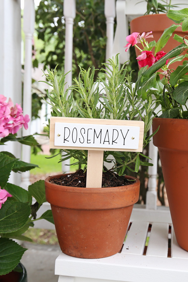 Rosemary DIY plant label