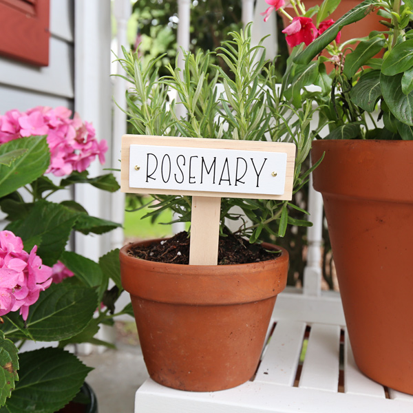 DIY Wooden Plant Markers with Cricut Joy - Lemon Thistle