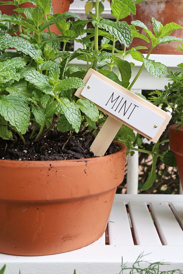 Mint DIY garden marker with Cricut label