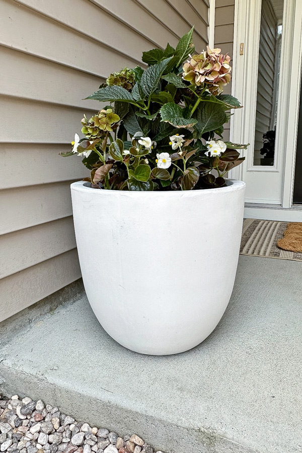 amazon outdoor planter on front porch
