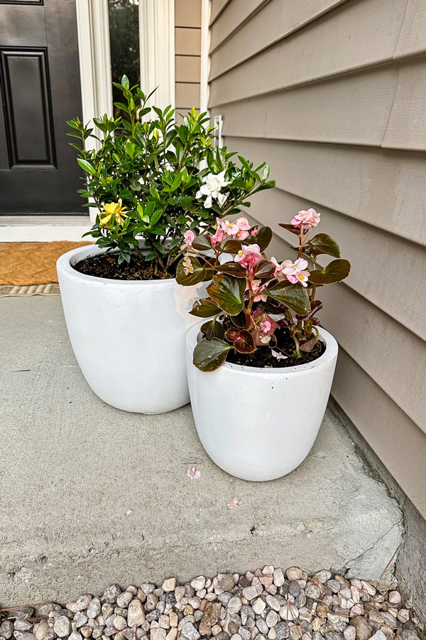 budget friendly white concrete outdoor planter set from amazon