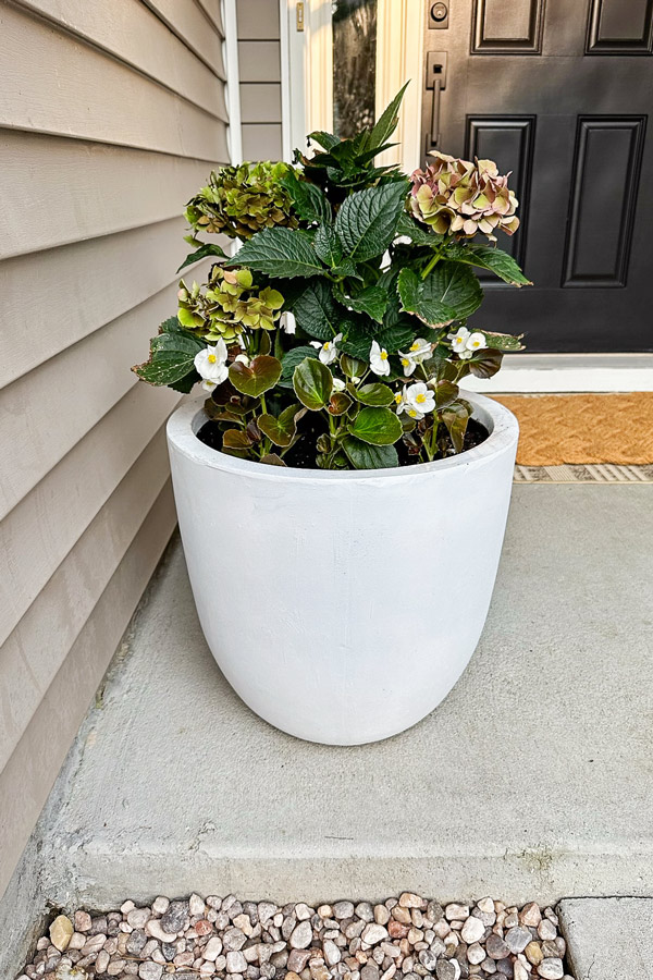 budget friendly white concrete outdoor planter from amazon