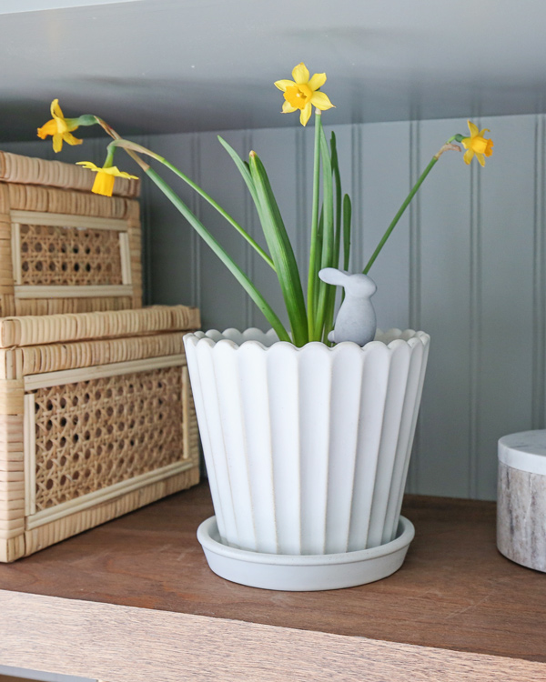 bunny stake in planter pot with daffodils on shelf for easter decor from target