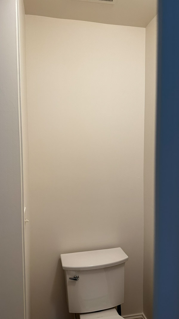 before adding above the toilet storage cabinet in water closet