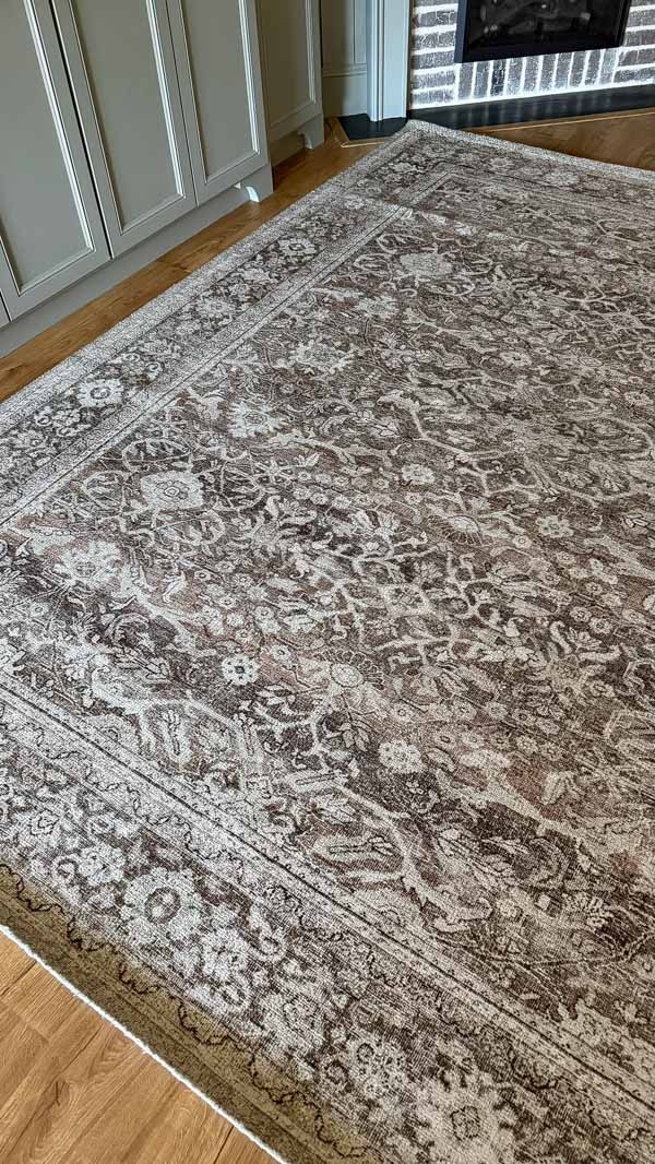 brown and cream rug in living room