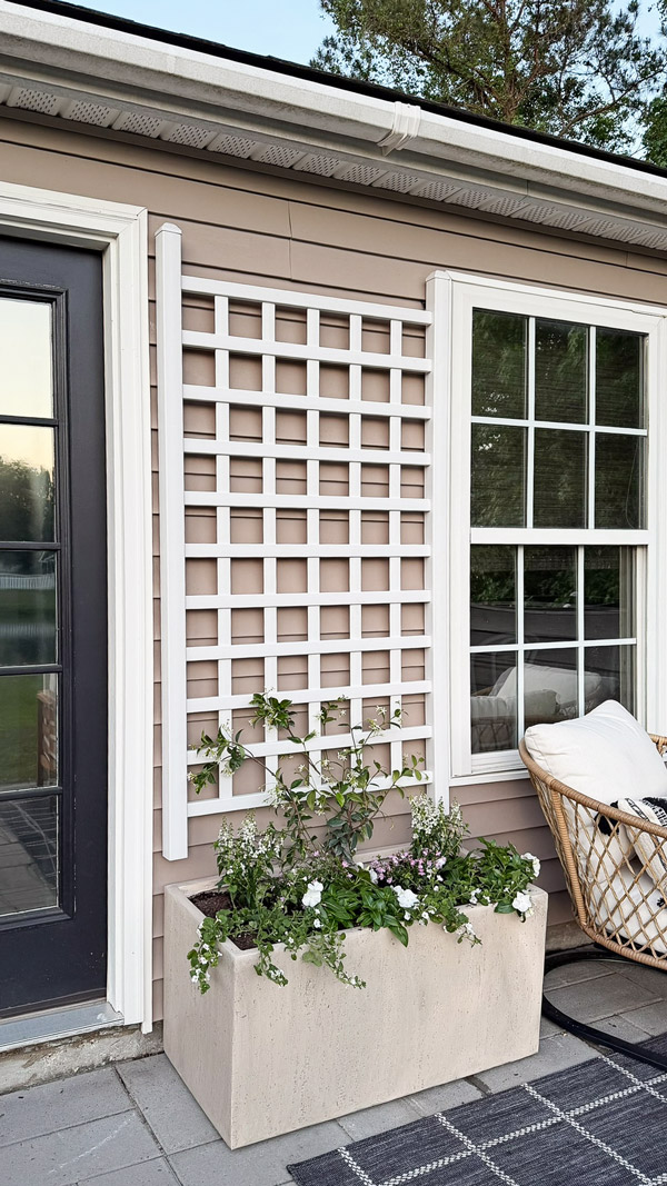 Easy Patio Garden Idea with a Trellis and Planter Box and star jasmine