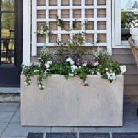 Easy Patio Garden Idea with a Trellis and Planter Box and star jasmine
