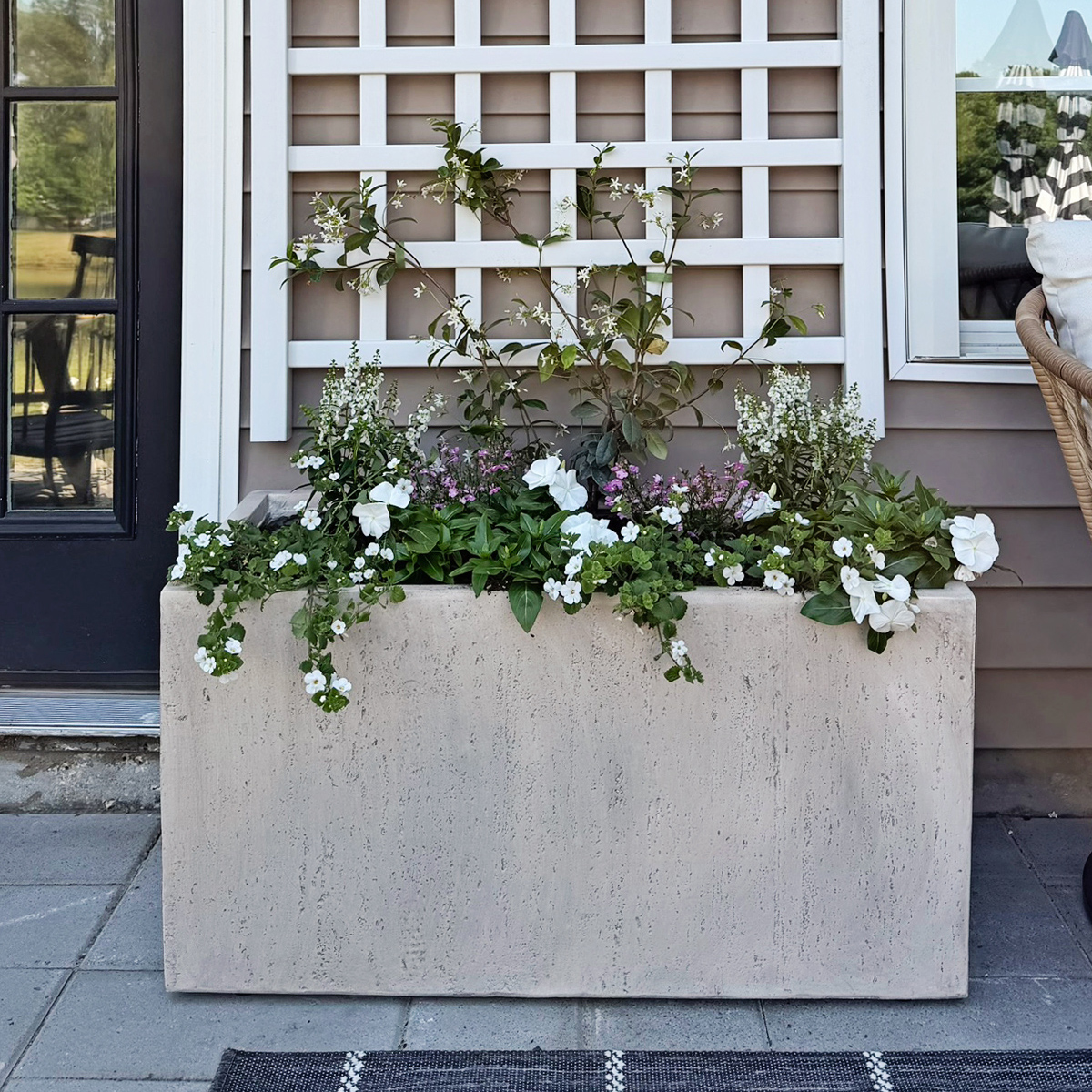Easy Patio Garden Idea with a Trellis and Planter Box and star jasmine