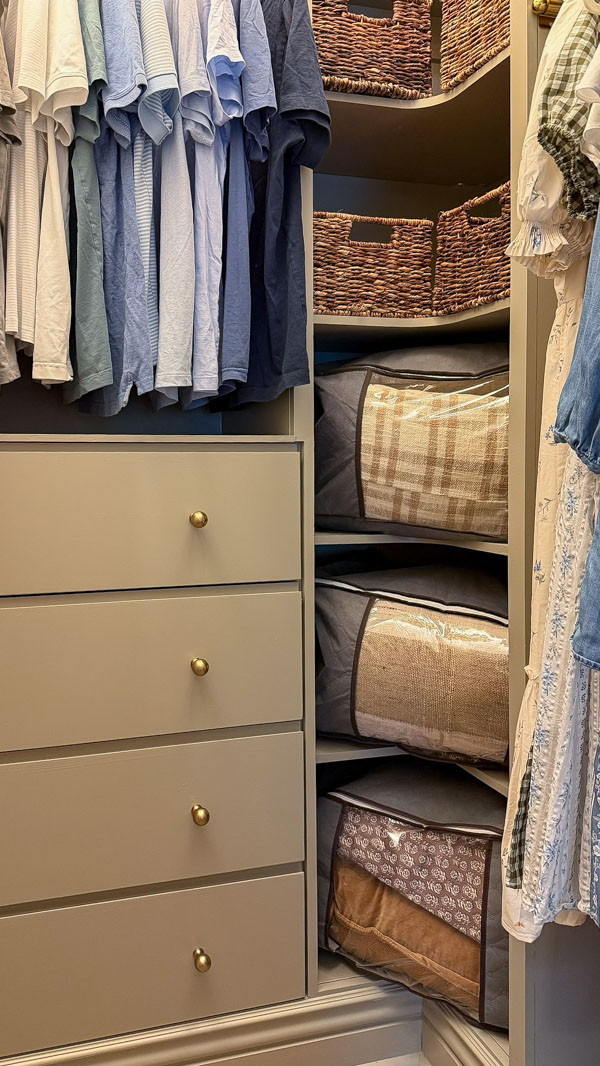 closet organization ideas with function and charm - storage bags