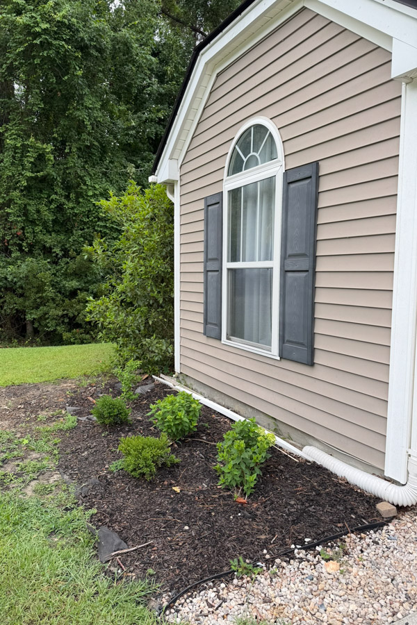 before garden makeover