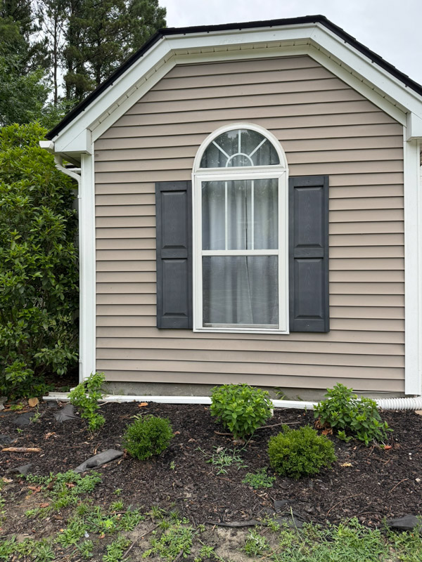 before garden makeover